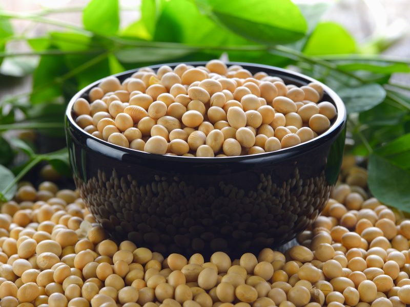 Soybean & Derivatives